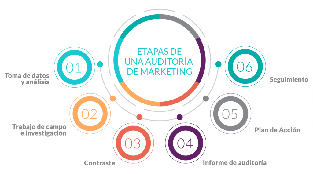 gráfica de las etapas de una auditoría de marketing en servicios de auditoria de marketing